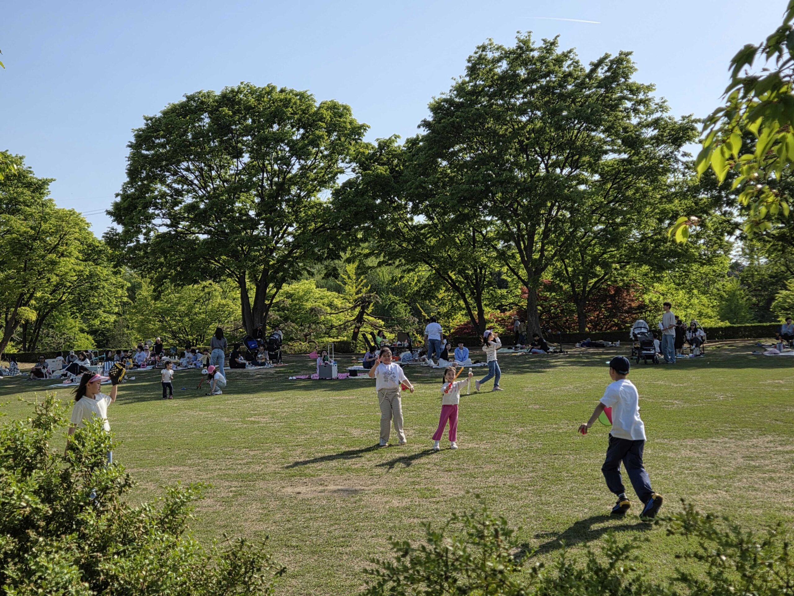 Misari Park Hanam late-afternoon catch on the grass with other families settled in for a picnic