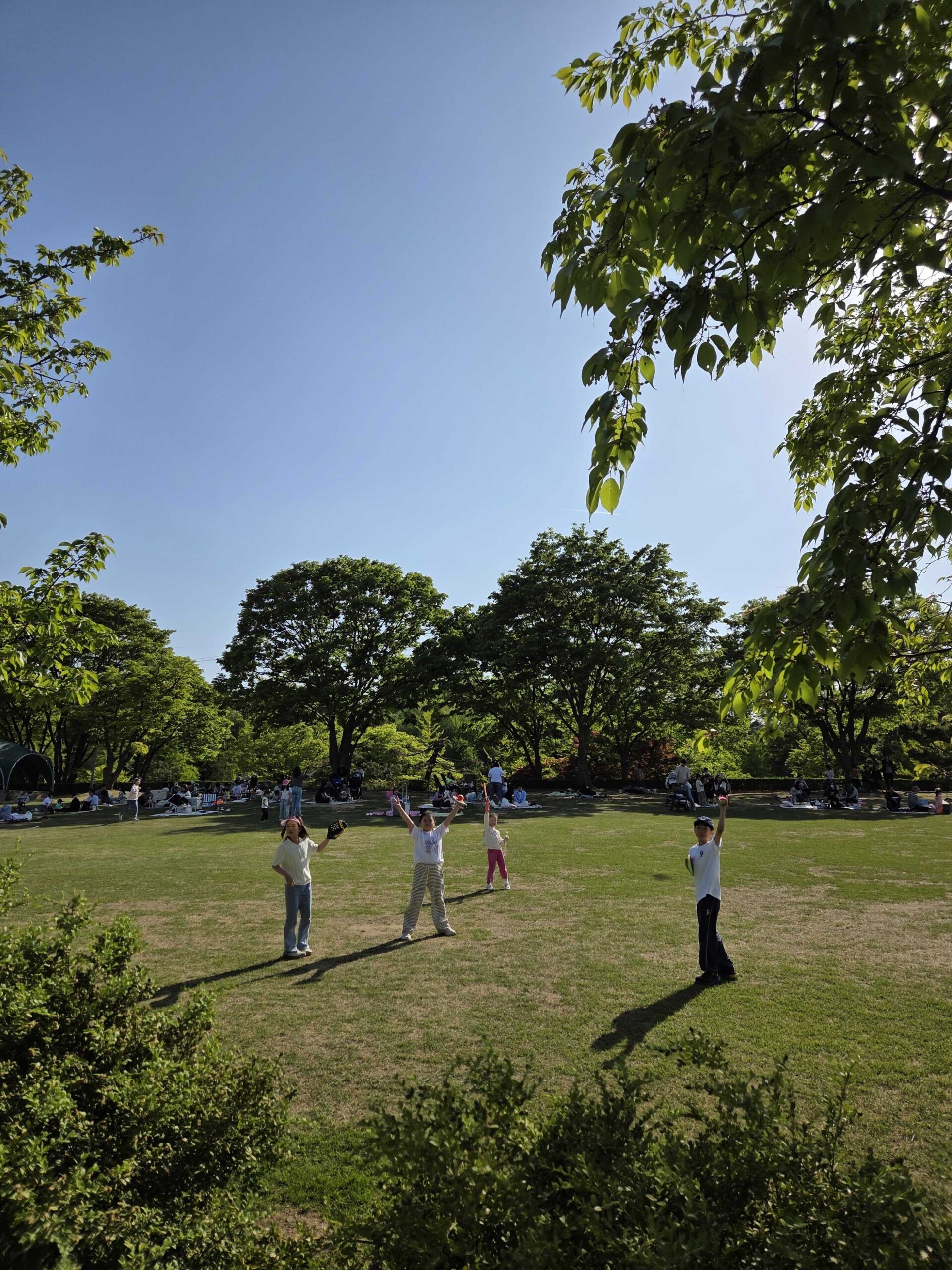 Misari Park Hanam wide picnic lawn with families on blankets under a clear blue sky
