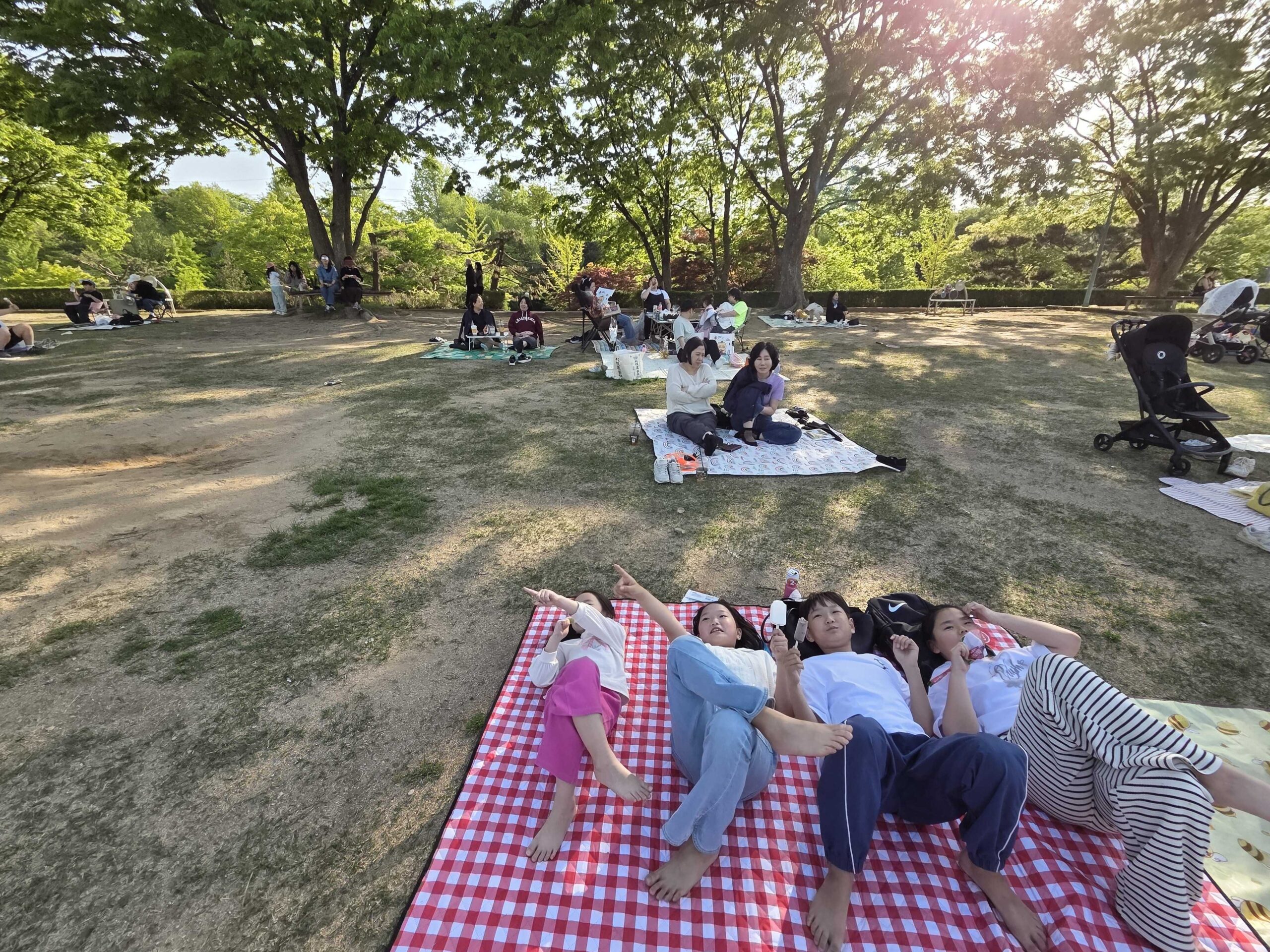 Misari Park Hanam family laid out on a red gingham picnic blanket with a stroller parked nearby
