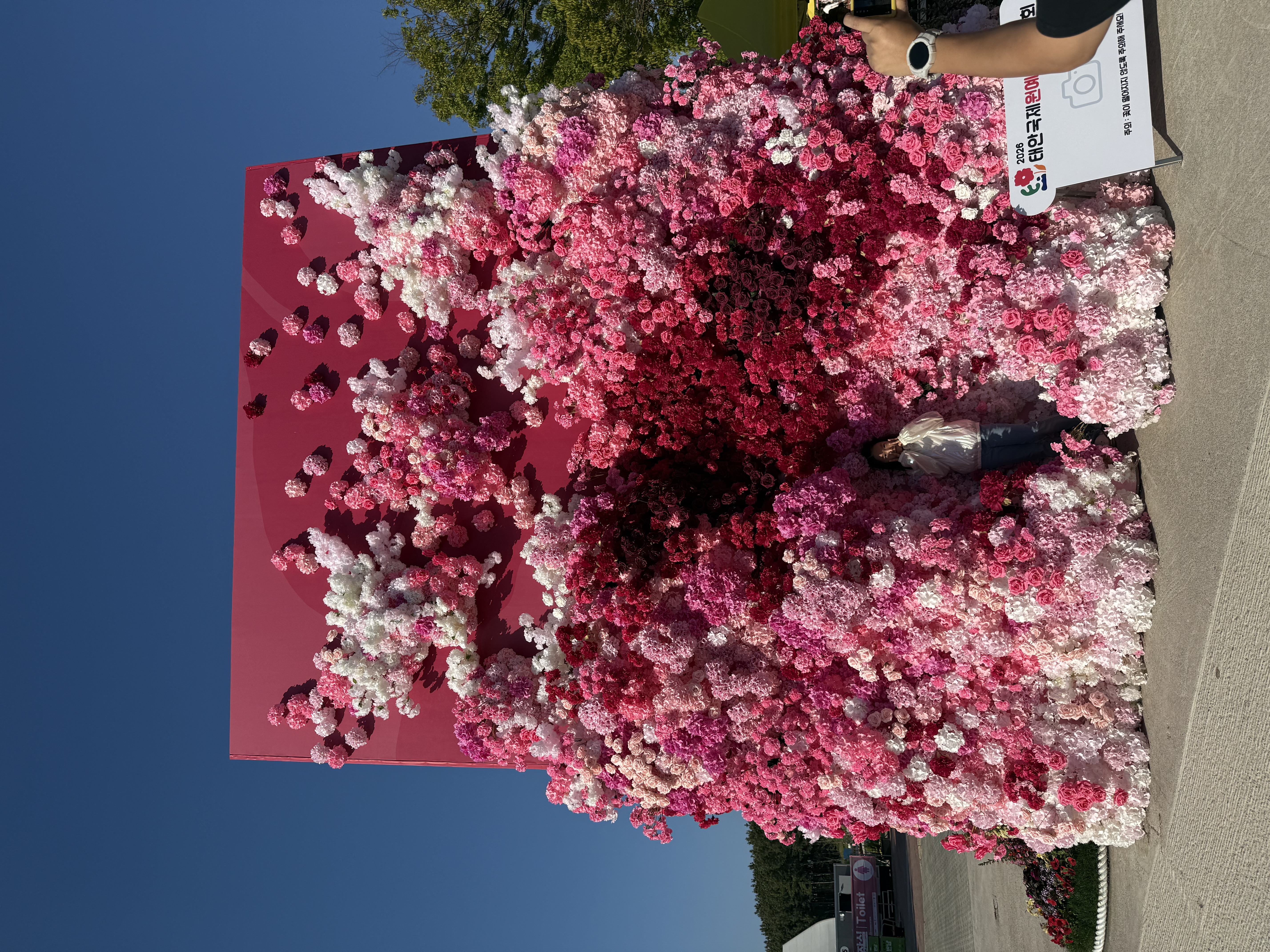 Giant pink flower carnival installation outdoor area at Taean Horticultural Therapy Expo