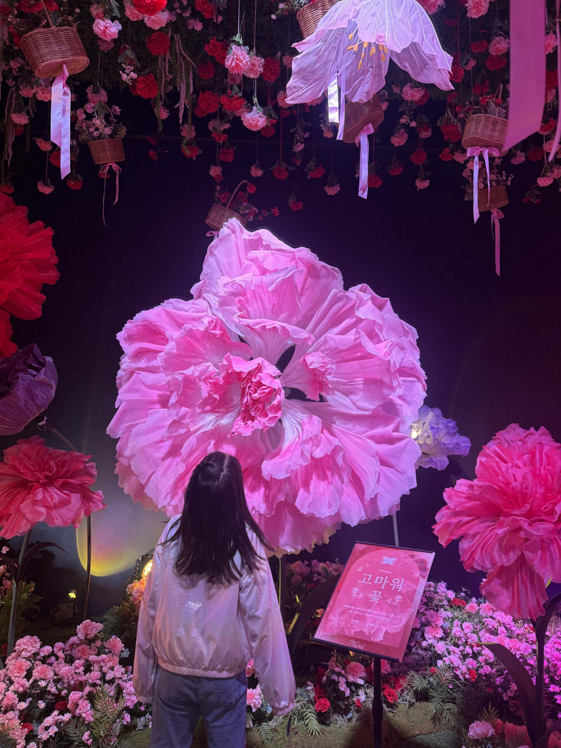 Giant pink flower wall photo zone at Taean Horticultural Therapy Expo