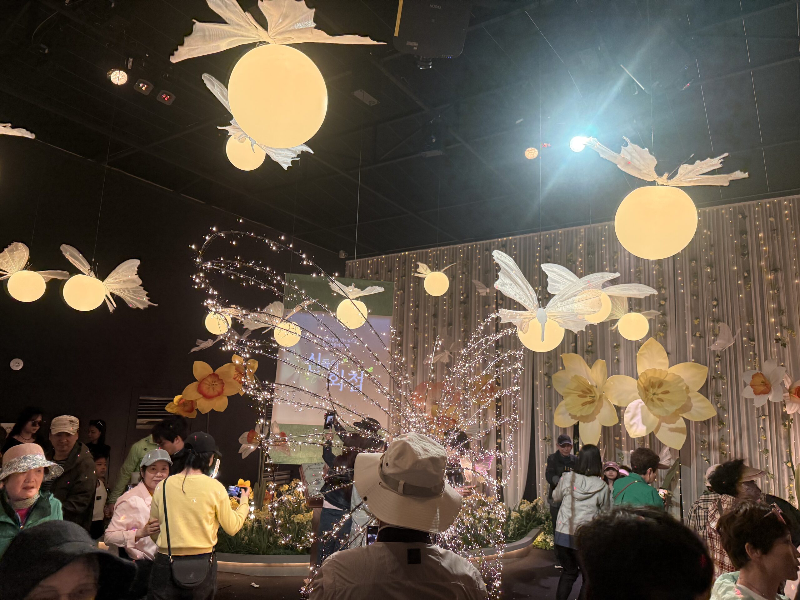Hanging butterfly and flower installations indoor pavilion at Taean Horticultural Therapy Expo