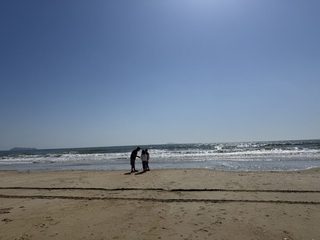 Child examining shells on Kkotji Beach Anmyeondo sand