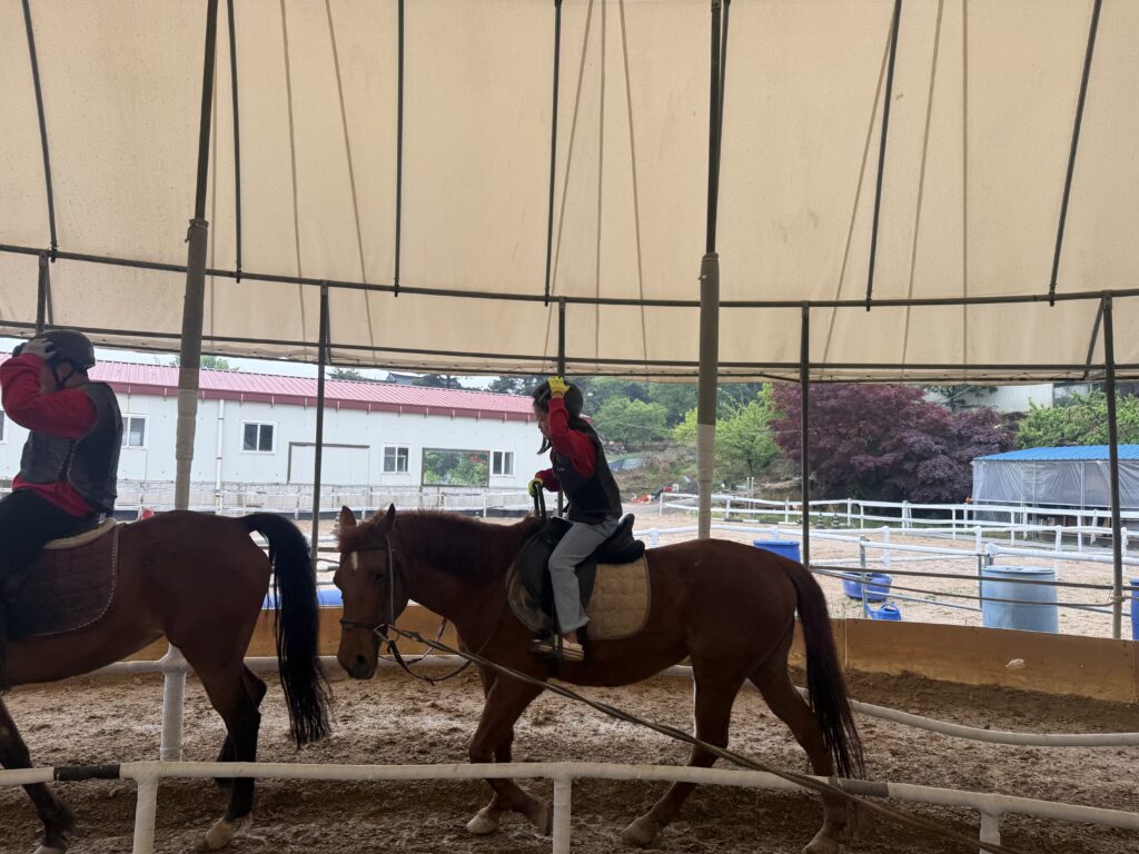 Single rider trotting on chestnut horse in covered ring during horseback riding Korea kids lesson