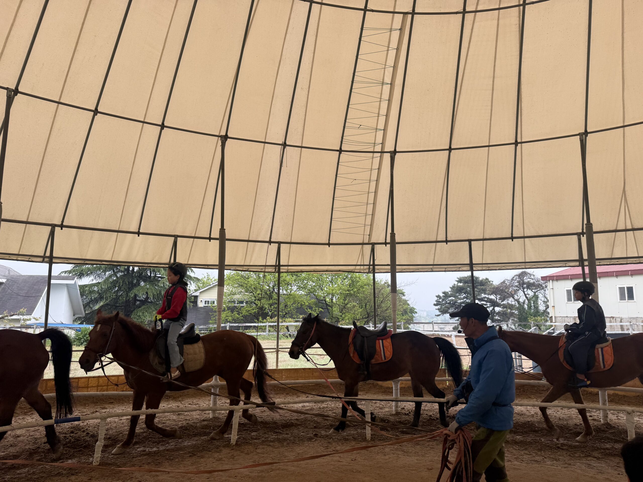Four kids horseback riding in circle on lunge line for Korea kids family camping