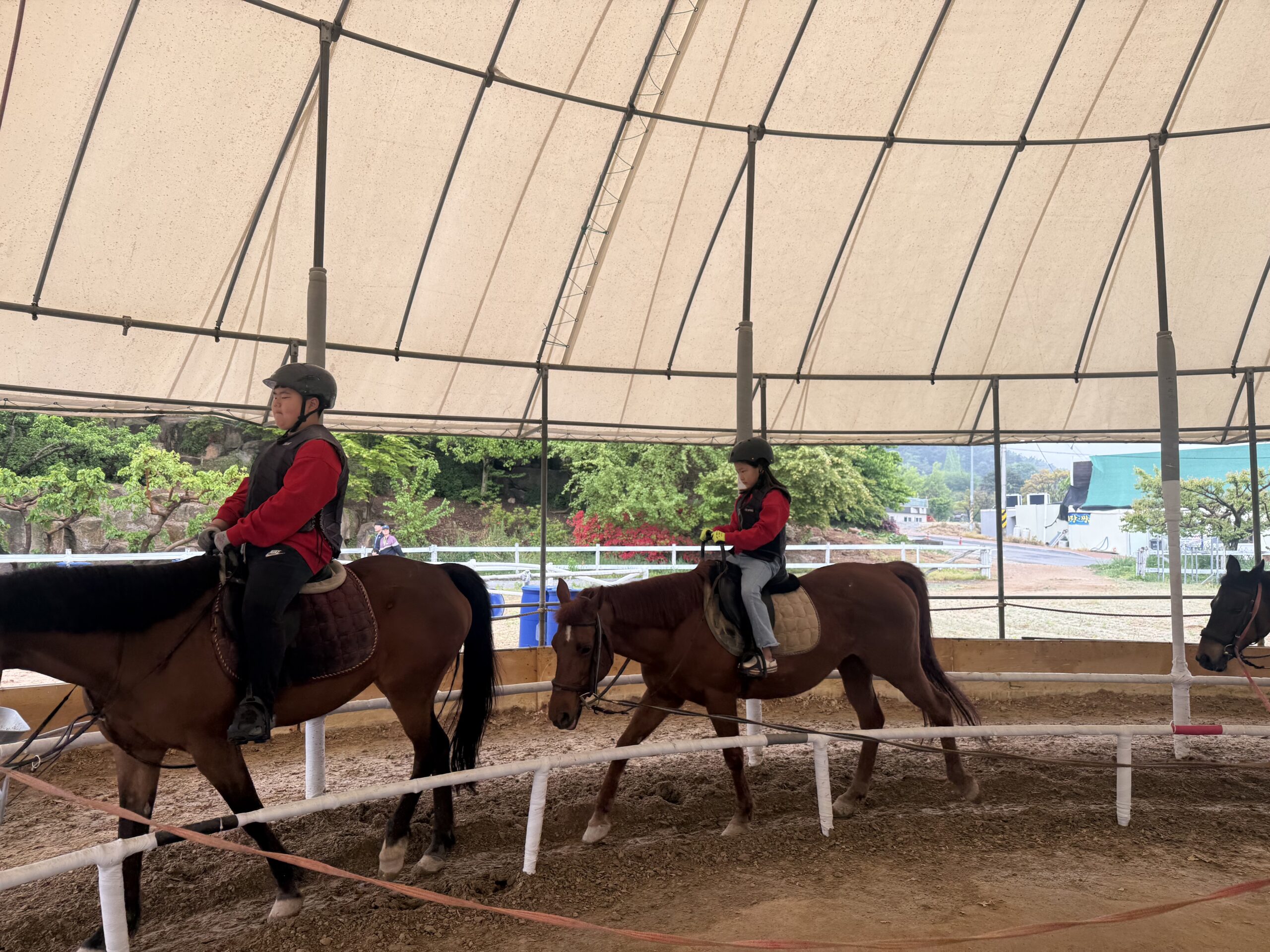 Two children riding horses side by side in lunge line lesson at Naepo Camping Square