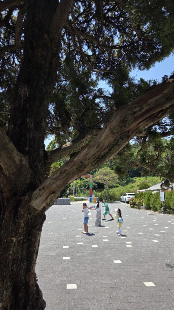Tree-lined walking path inside Choihu Camping Hanam