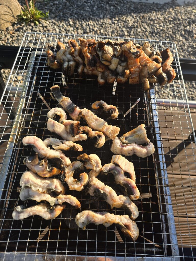 Pork belly on the grate at Choihu Camping Hanam