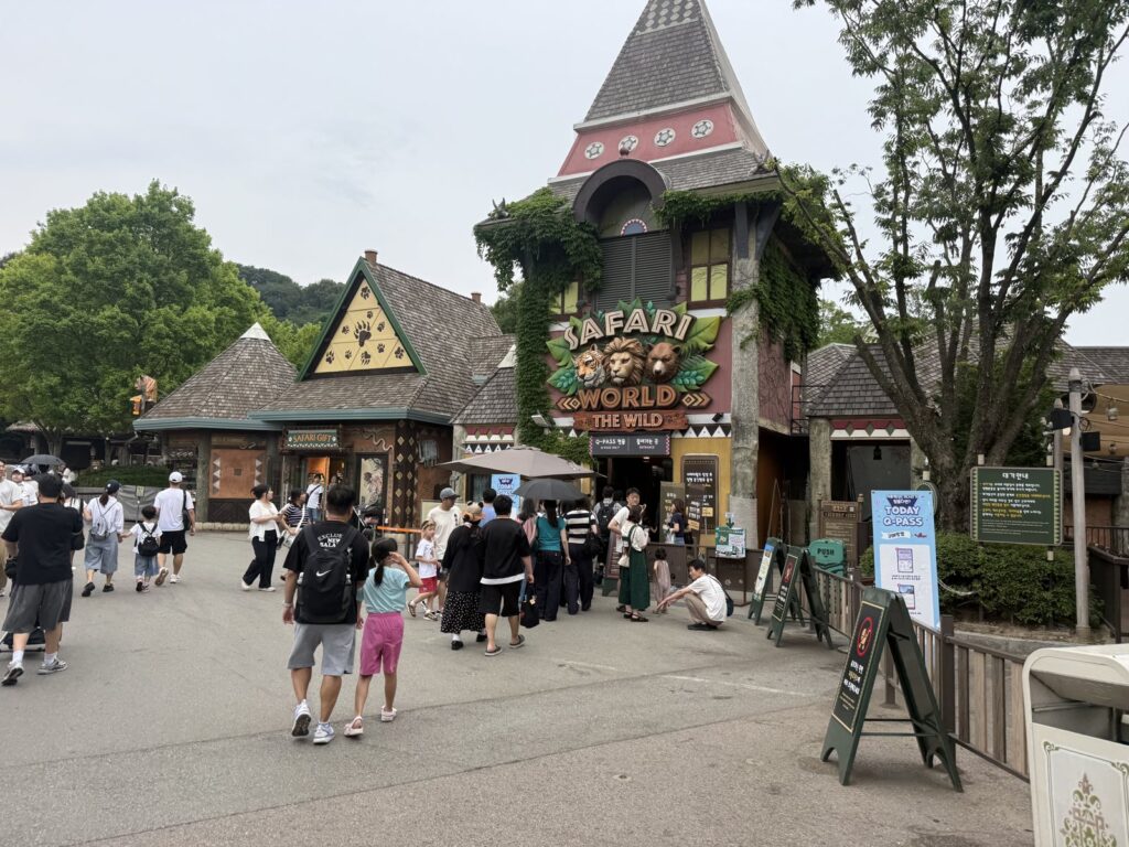 Everland night safari near Amazon Express entrance
