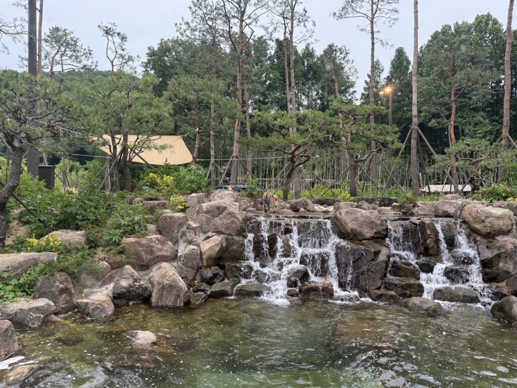 Waterfall habitat seen on the Everland night safari