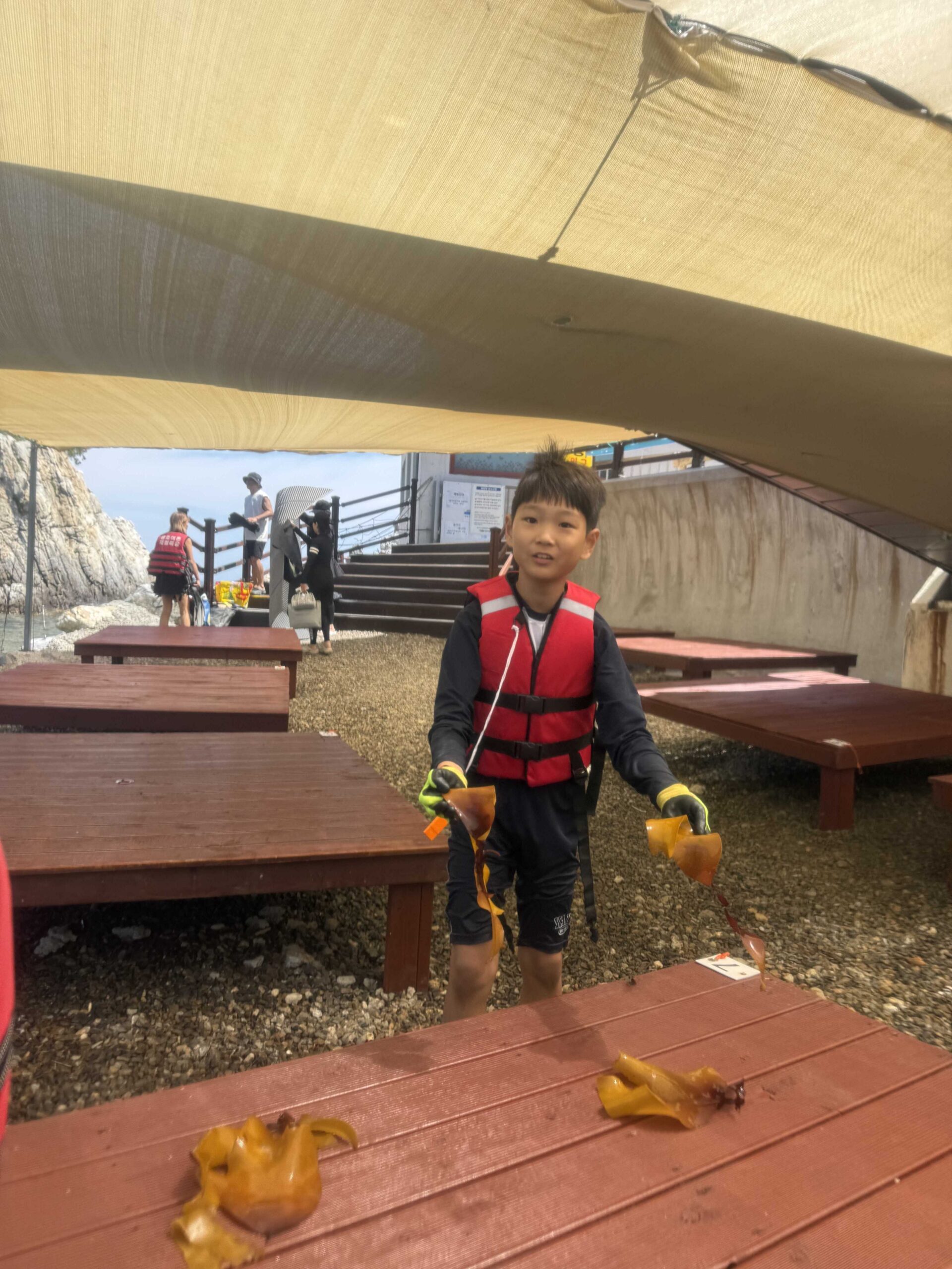 Boy in a life jacket holding a sea squirt found while snorkeling at Jangho Beach with kids