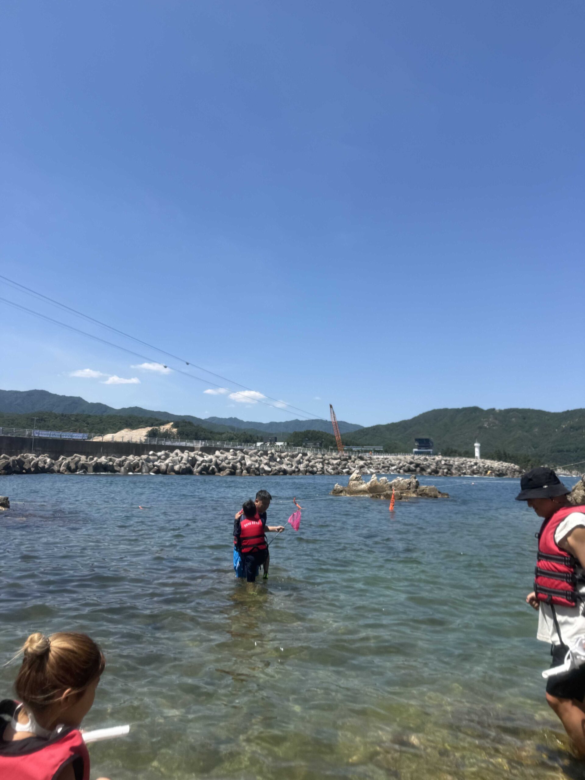 Wide view of the snorkeling cove at Jangho Beach with kids and the rope-marked swim zone in Samcheok