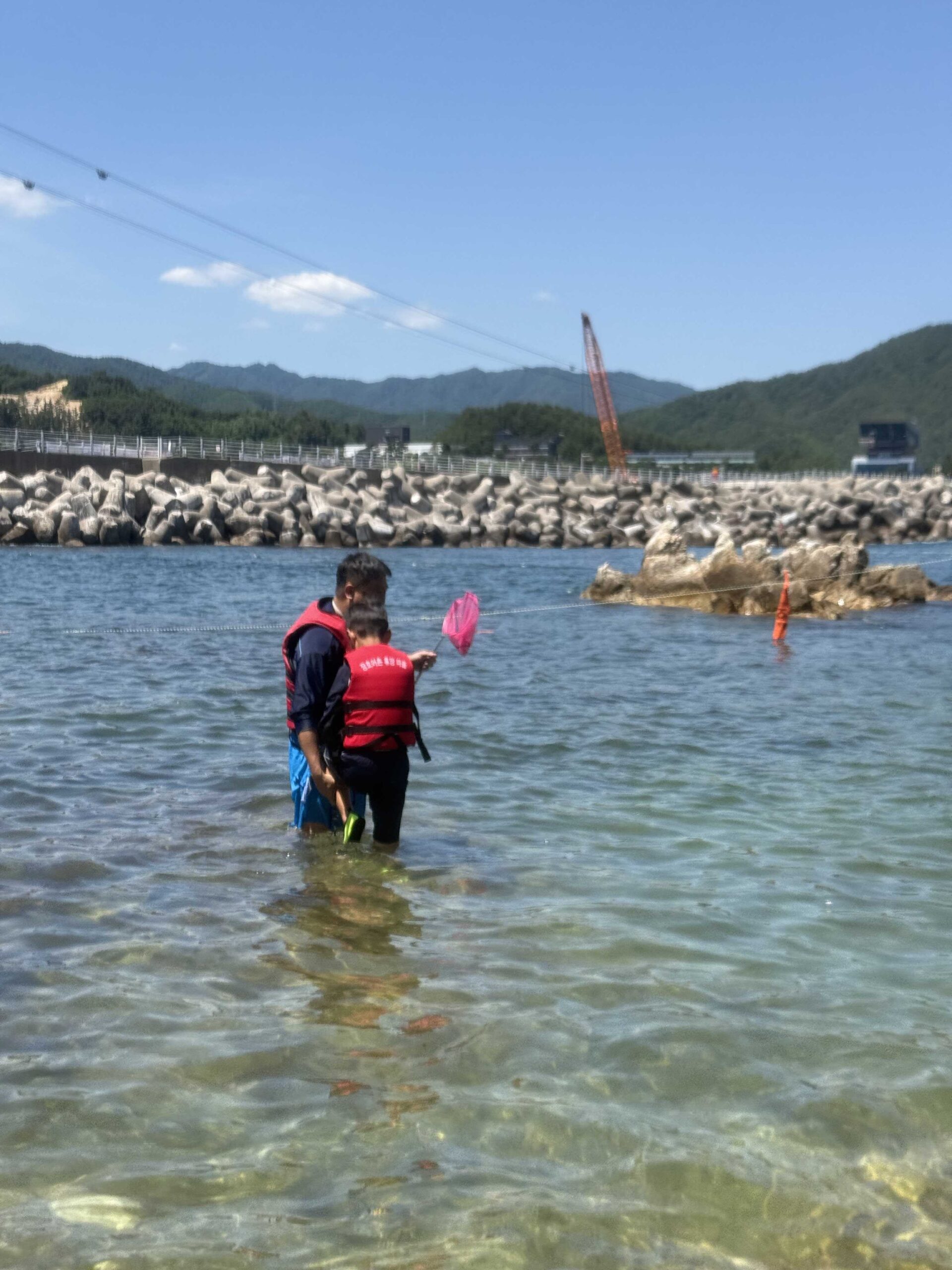 Snorkeling at Jangho Beach with kids using a net in clear water with a tetrapod breakwater behind