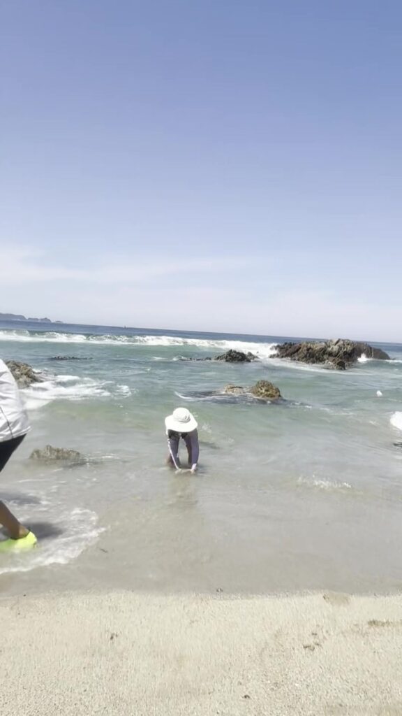 Child digging for clams in the shallow surf at Munam Beach Samcheok