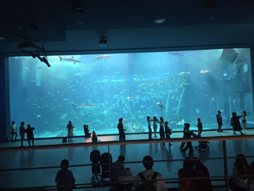 Visitors watching the huge main tank at Aqua Planet Jeju