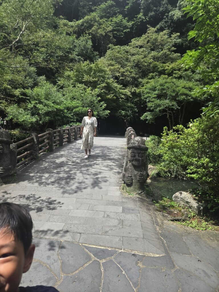 Lush green forest path leading to Cheonjiyeon Waterfall