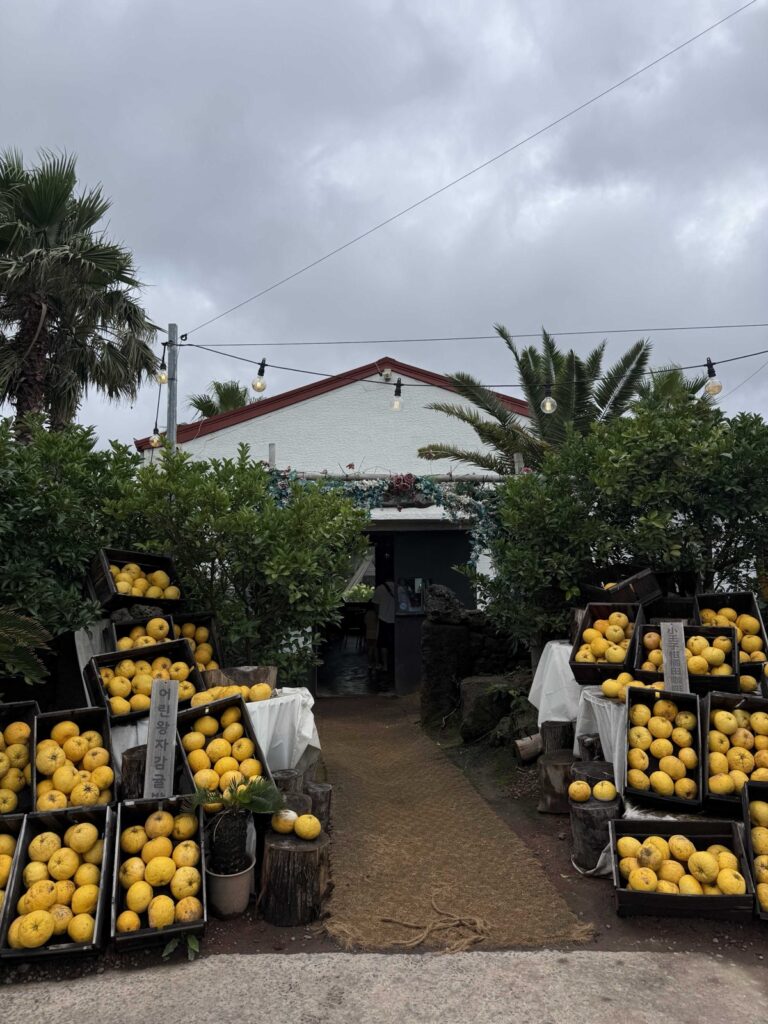 Entrance to Little Prince Tangerine Farm with crates of tangerines