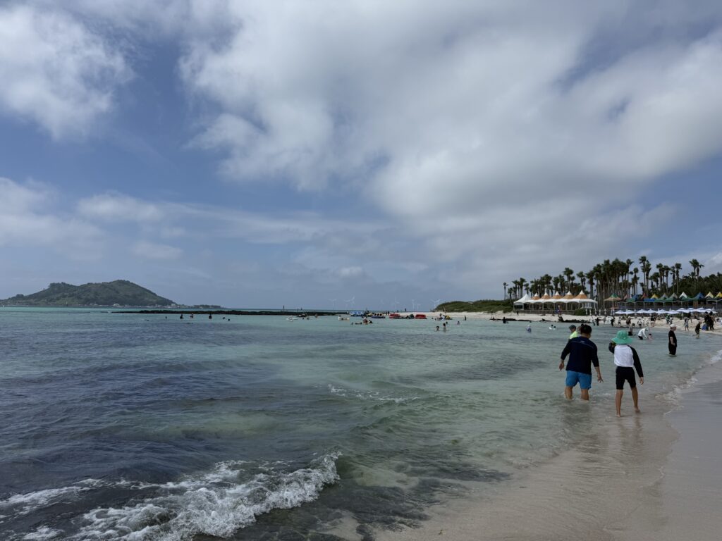 Shoreline and palm-lined promenade at Segial Beach Jeju