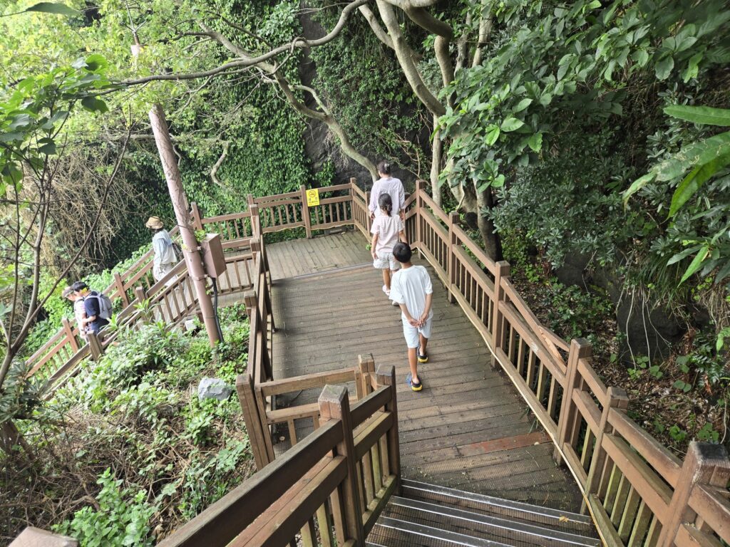 Kids climbing the wooden stairs at Seongsan Ilchulbong