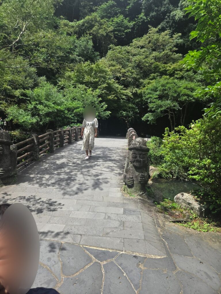 Lush green forest path leading to Cheonjiyeon Waterfall