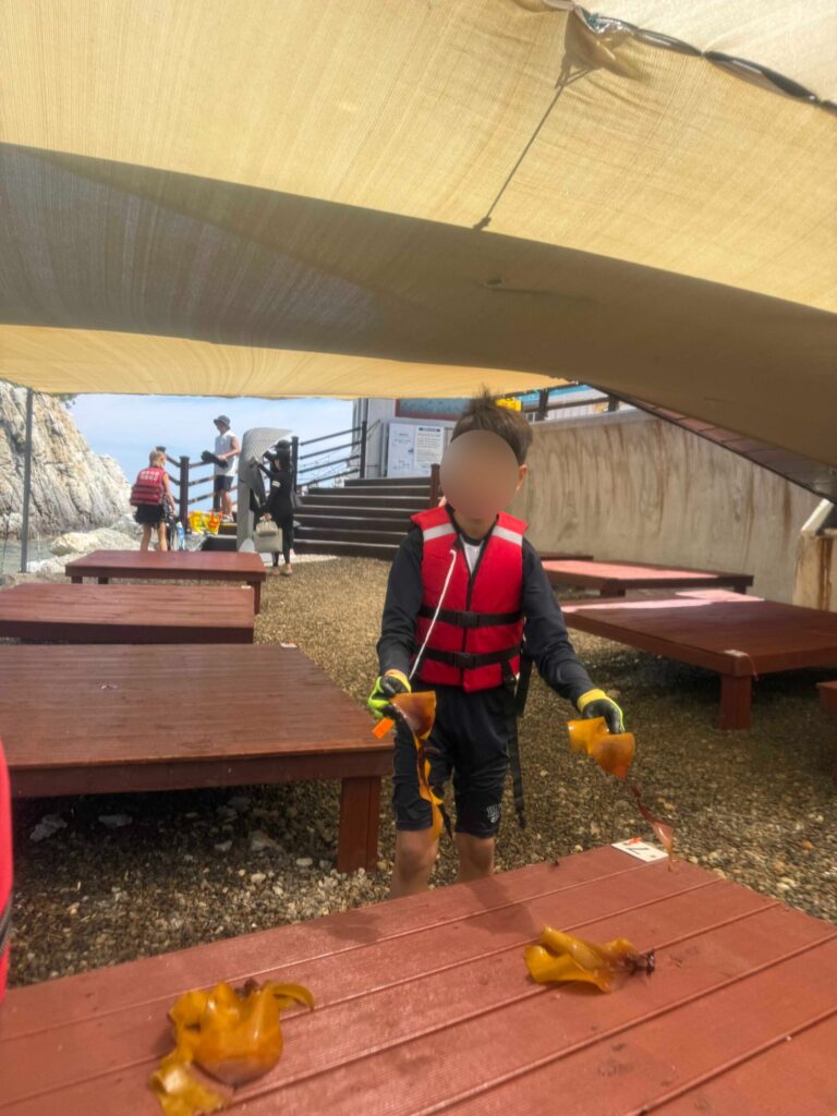 Boy in a life jacket holding a sea squirt found while snorkeling at Jangho Beach with kids