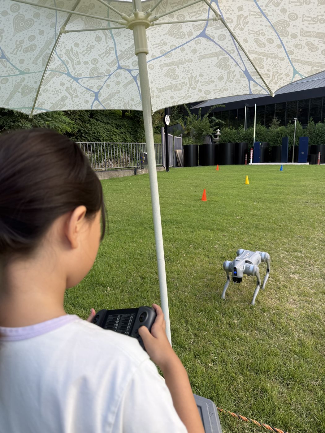 Girl seen from behind holding a controller to drive a robot dog on the lawn