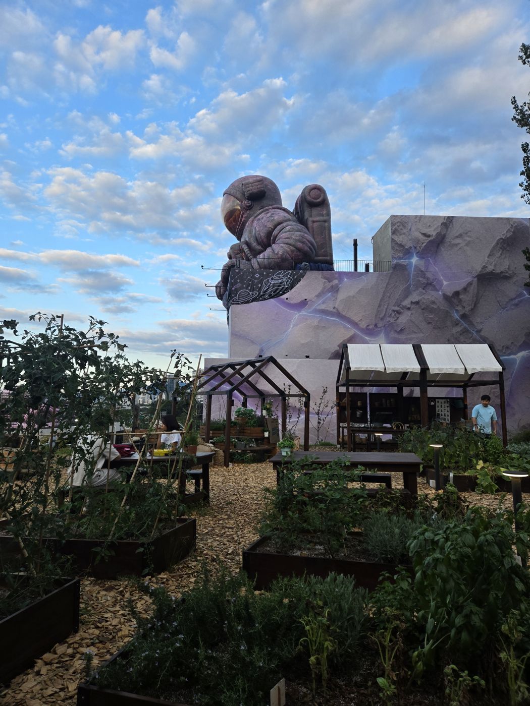 Vegetable and herb beds in the garden with the giant astronaut on the Robot Arena roof behind