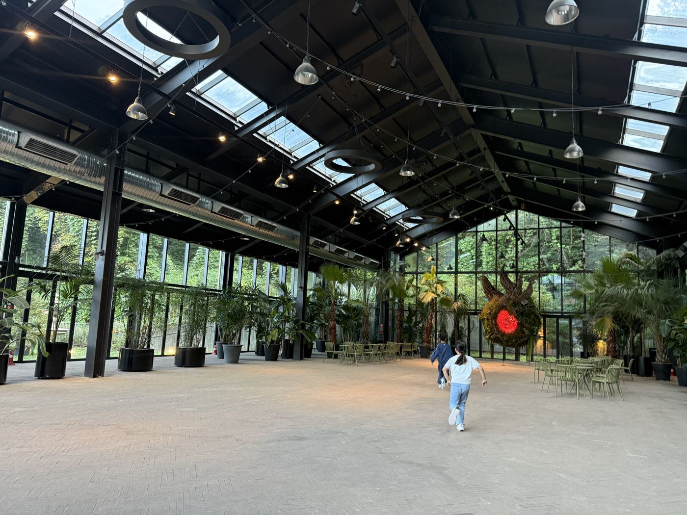 Wide greenhouse hall with a glass roof, palm trees and an open floor