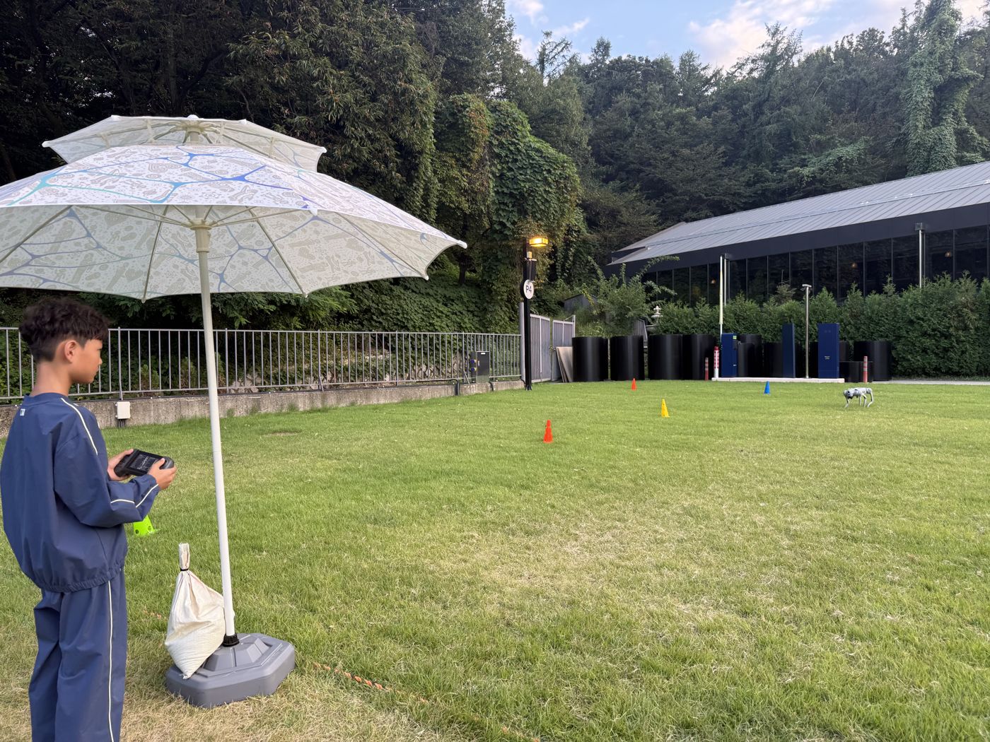 Boy holding a robot dog controller under a parasol on the lawn
